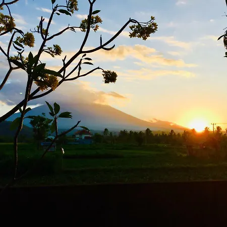 D'Uma Amed Homestay Exterior photo