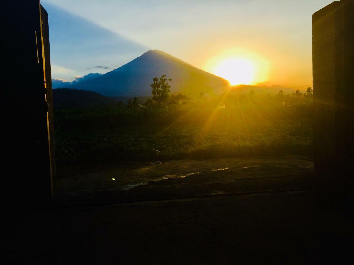 D'uma Homestay Amed (Bali)
