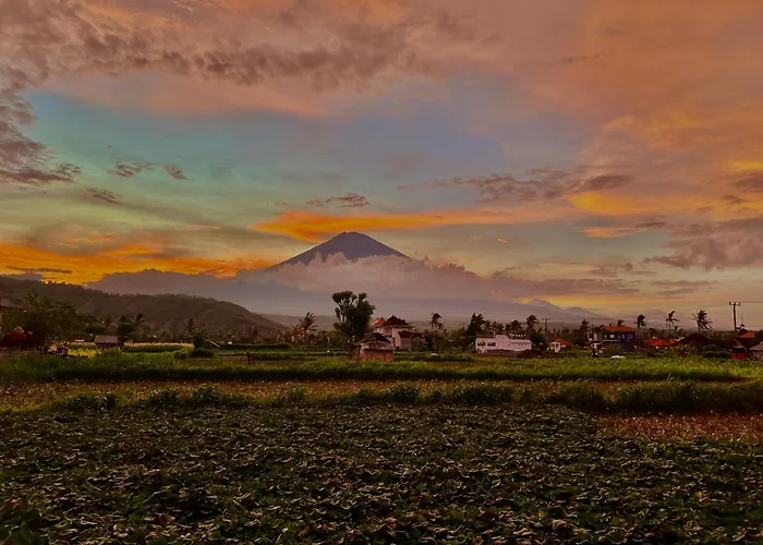D\'Uma Amed Homestay