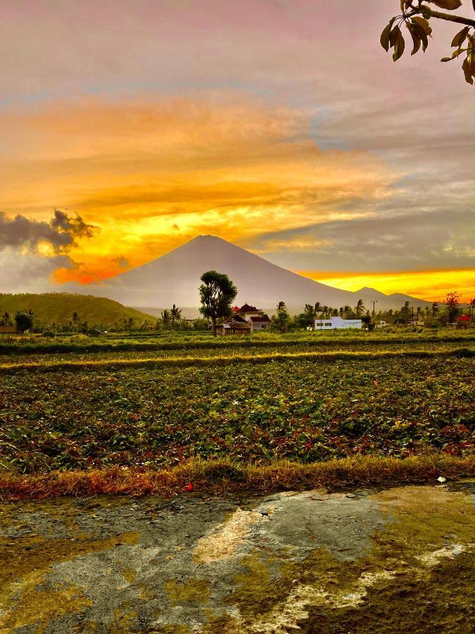Homestay D'uma Amed (Bali)