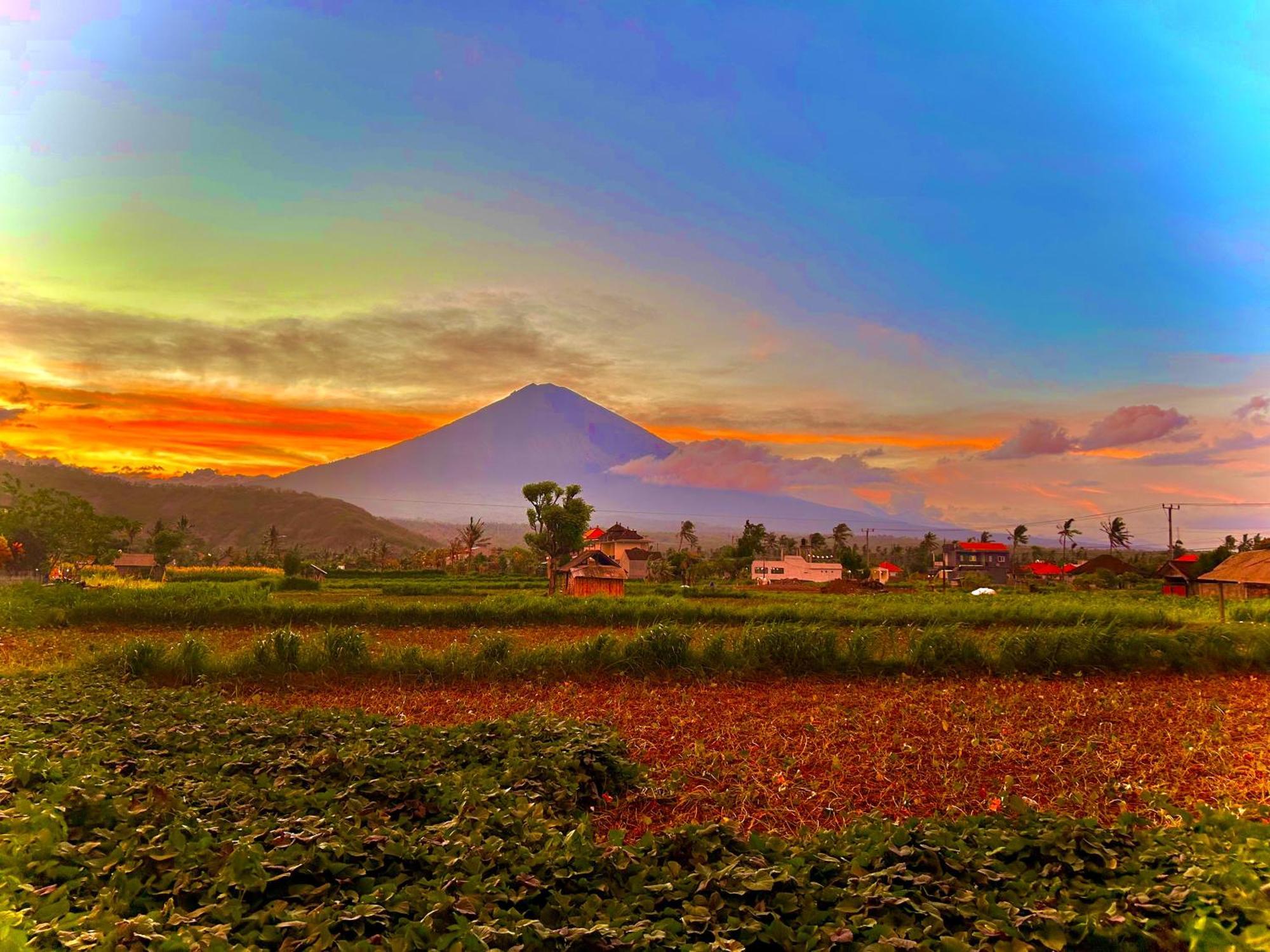Homestay D'uma Amed (Bali)