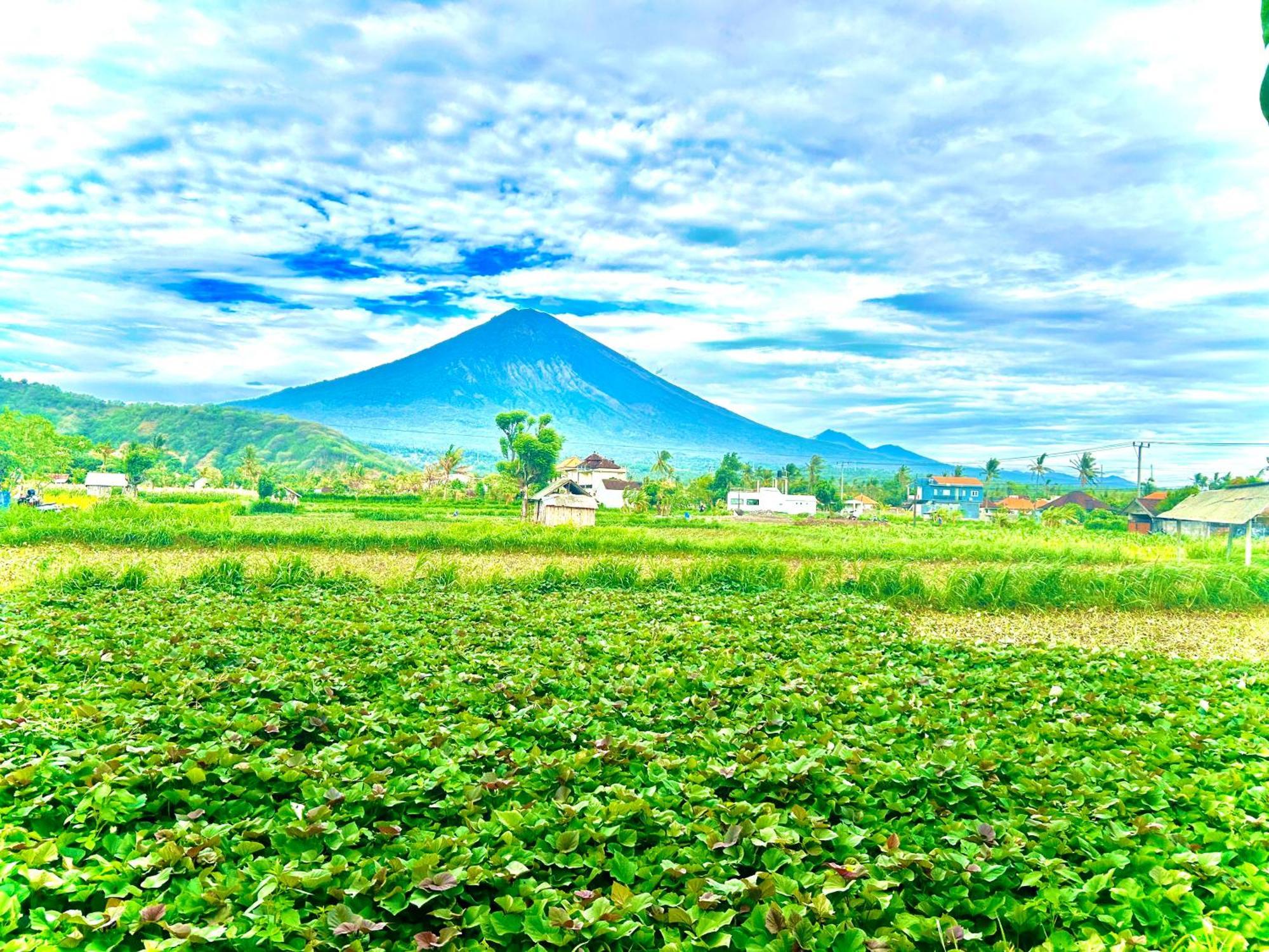 Homestay D'uma *