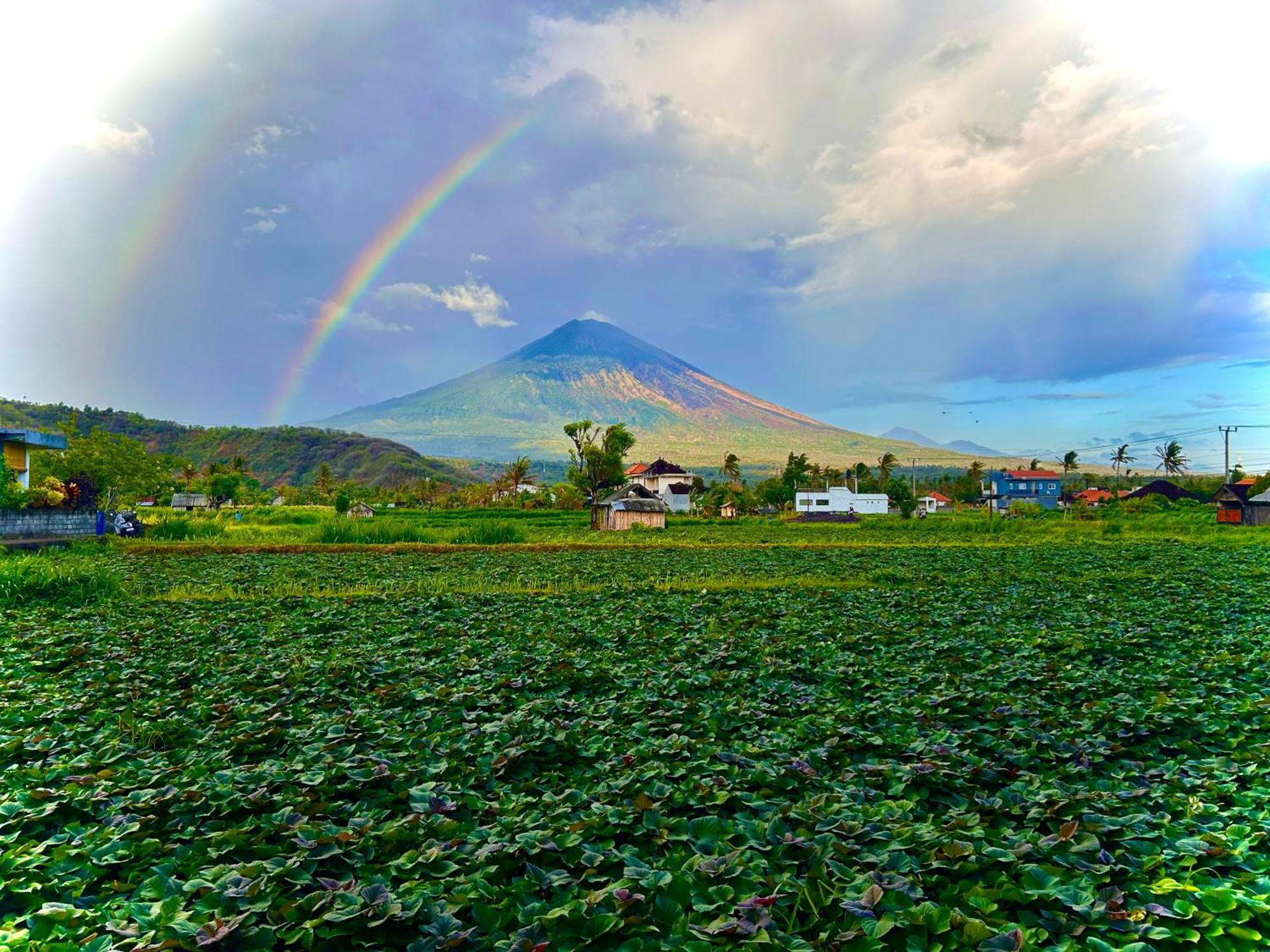 Homestay D'uma *