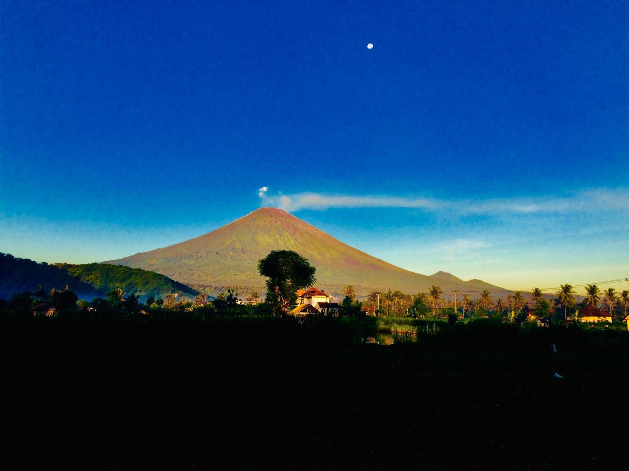Homestay D'uma *