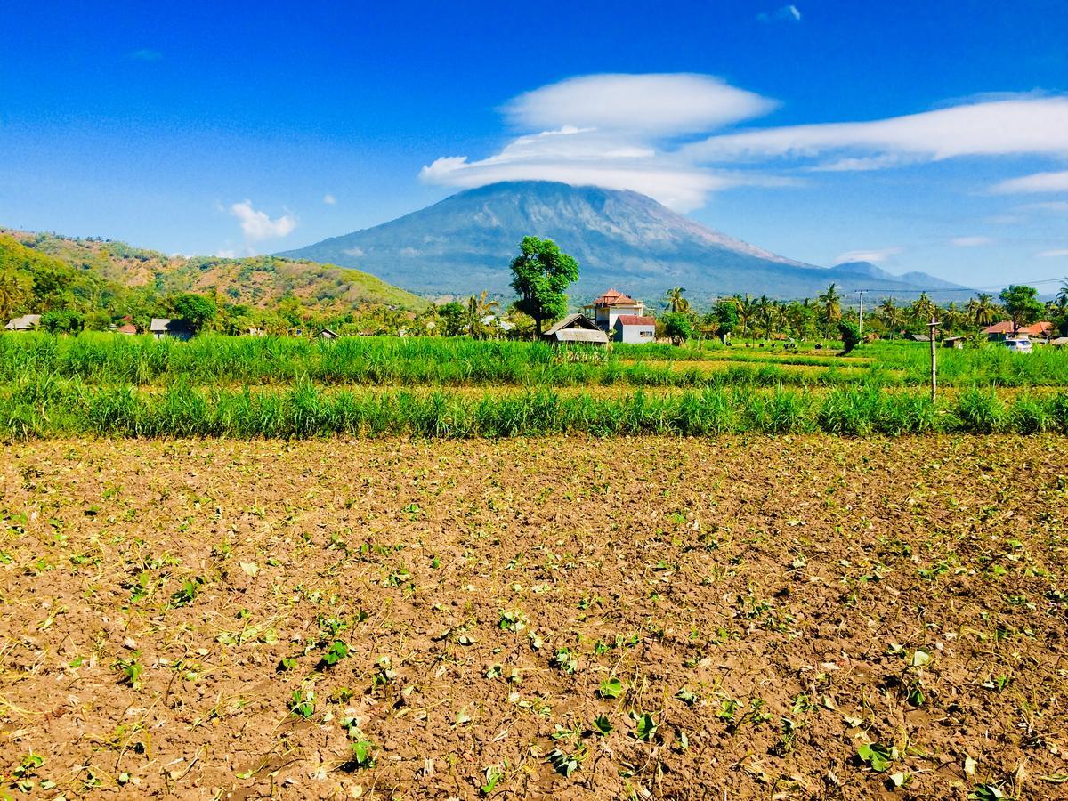 Homestay D'uma *