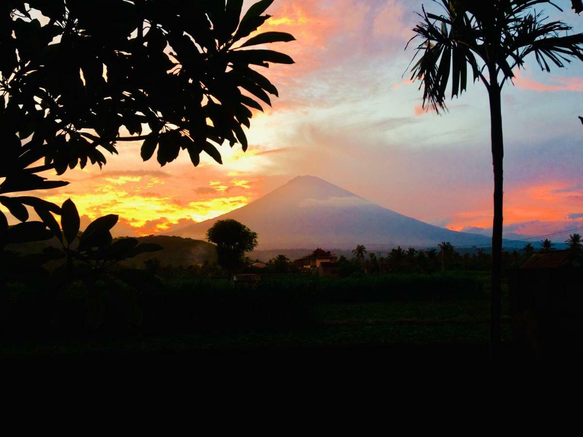 Homestay D'uma *