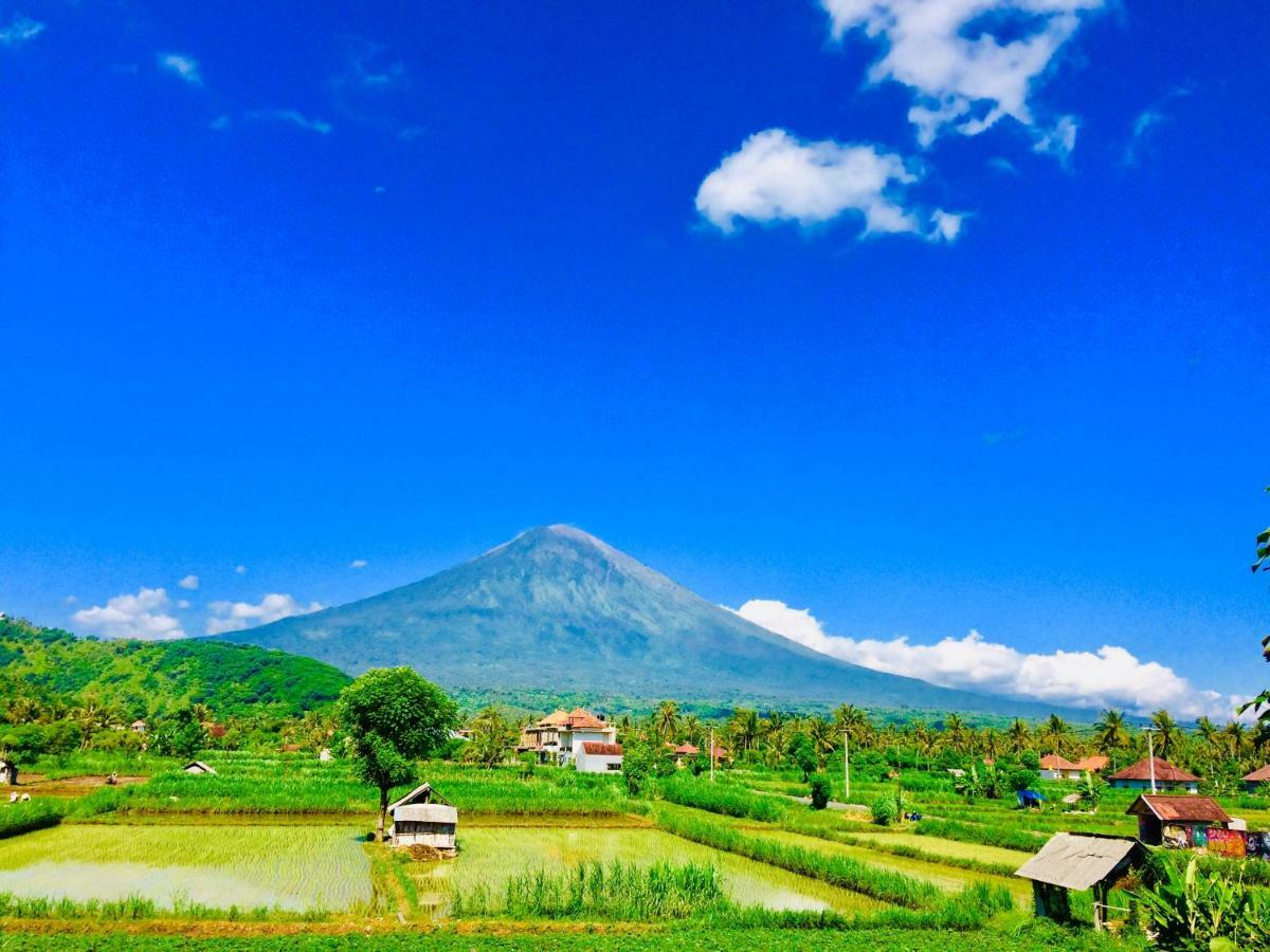 Homestay D'uma