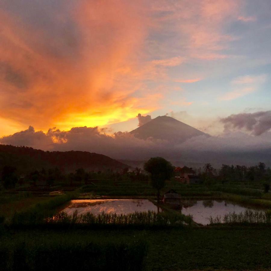 Homestay D'uma Amed (Bali)