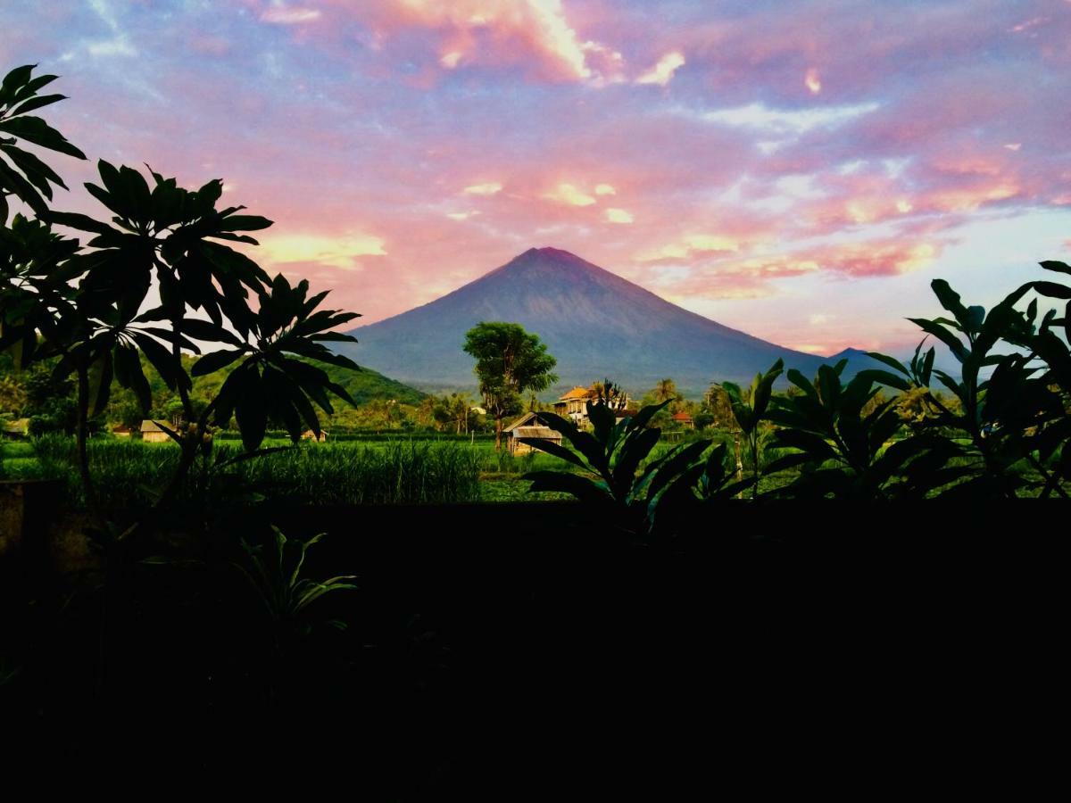 D'uma Homestay *
