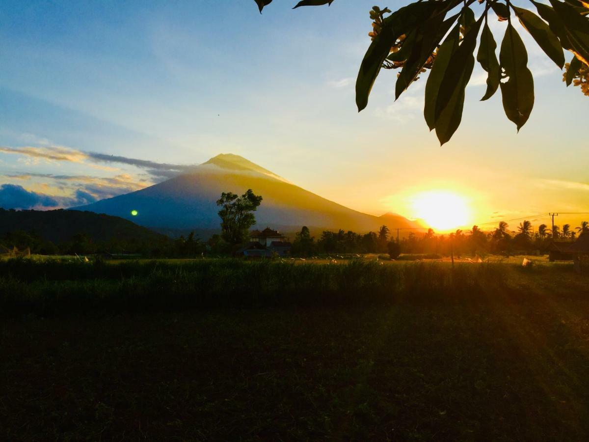 D'uma * Amed (Bali)