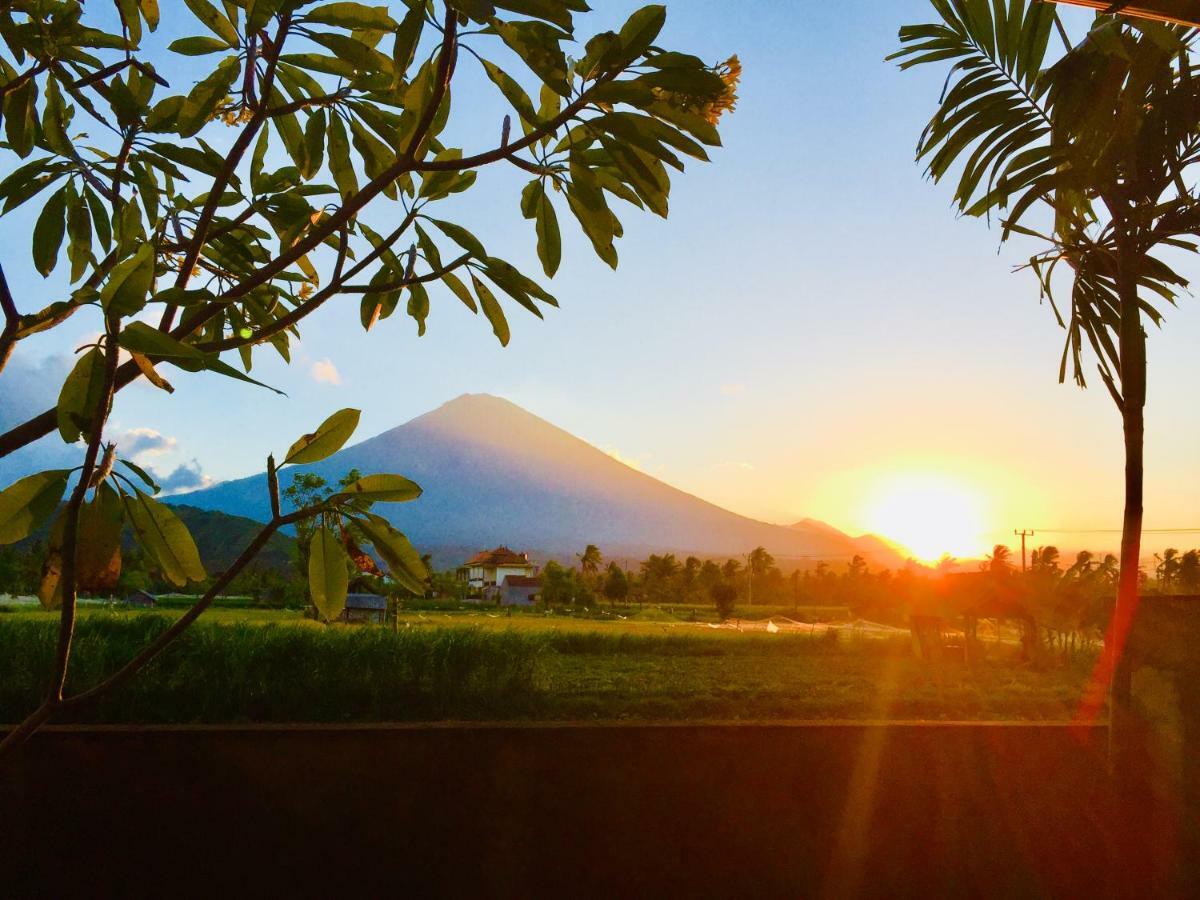 Homestay D'uma Amed (Bali)